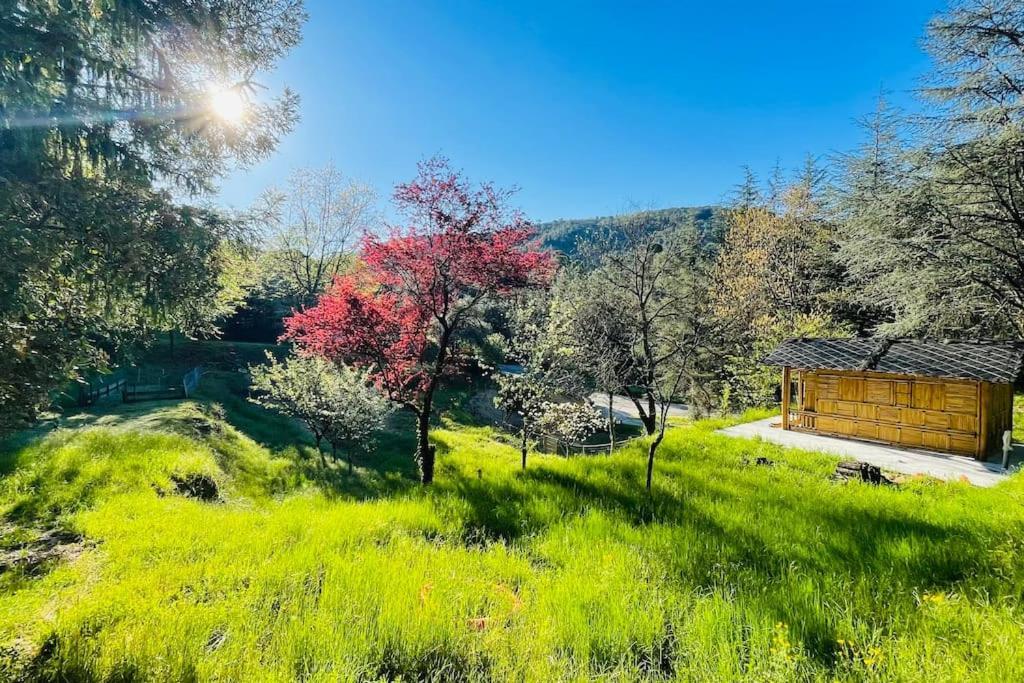 Gite Des 3 Vallees - Le Soleil Des Cevennes Appartement Saint-Jean-du-Gard Buitenkant foto