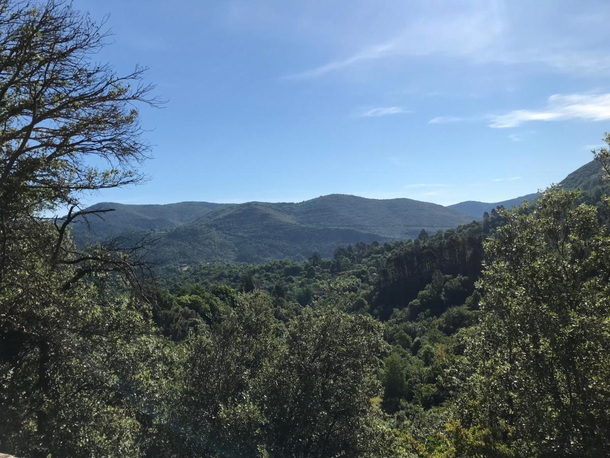 Gite Des 3 Vallees - Le Soleil Des Cevennes Appartement Saint-Jean-du-Gard Buitenkant foto