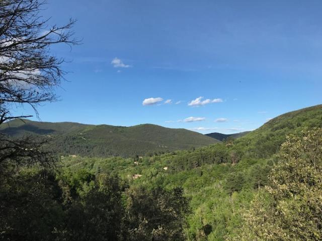 Gite Des 3 Vallees - Le Soleil Des Cevennes Appartement Saint-Jean-du-Gard Buitenkant foto